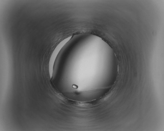 X0000110760336200906221127