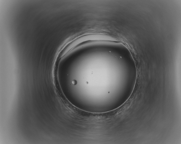 X0000110760340200906221126