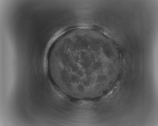 X0000110760343200906221126