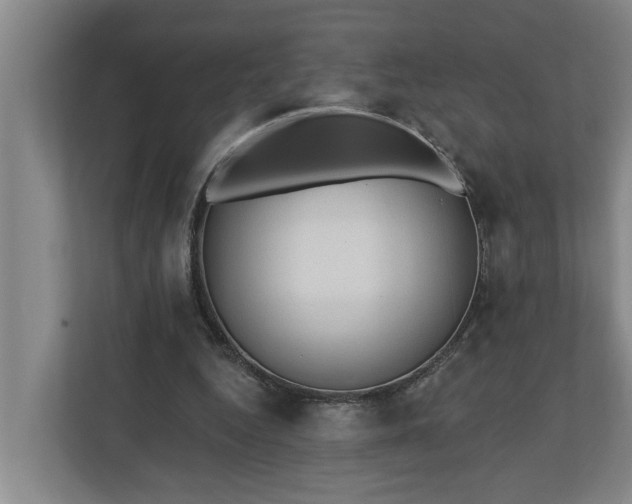 X0000110760344200906221126