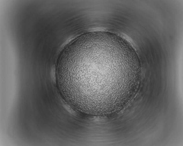 X0000110760345200906221126