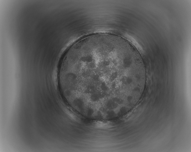 X0000110760346200906221126