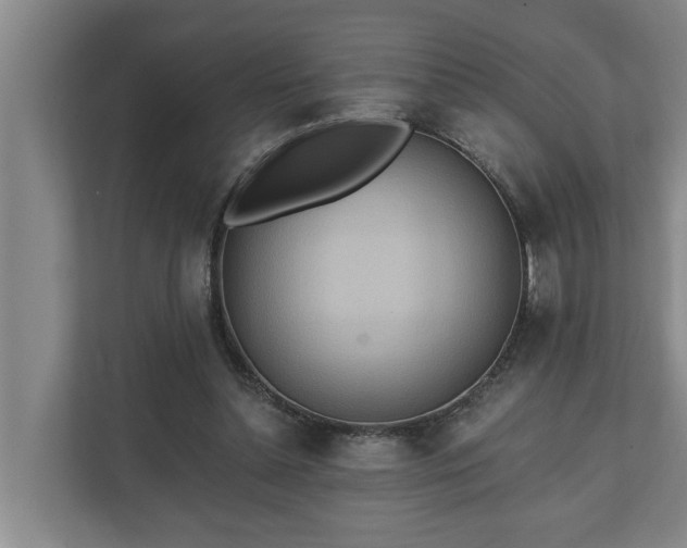 X0000110760348200906221126