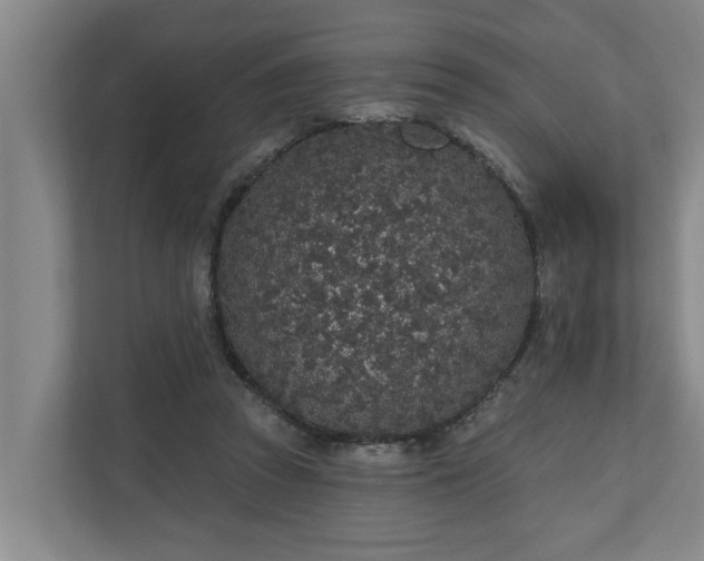 X0000110760353200906221126