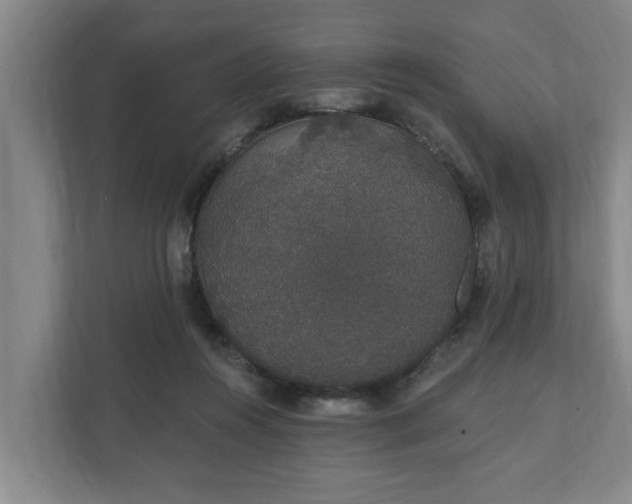 X0000110760360200906221127