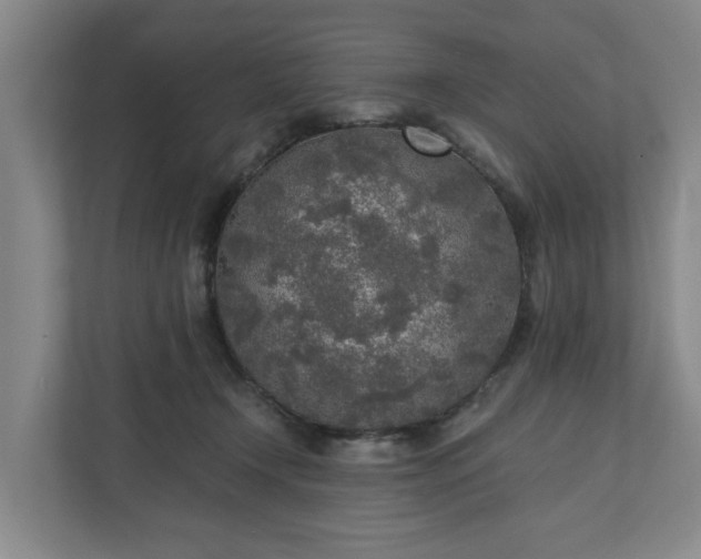 X0000110760366200906221127