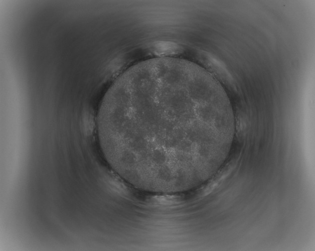 X0000110760367200906221127