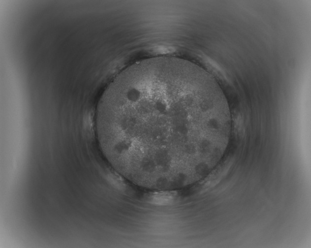X0000110760373200906221127