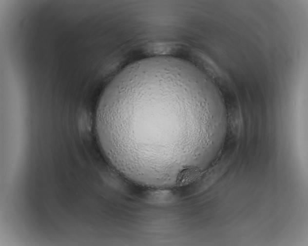 X0000110760374200906221127