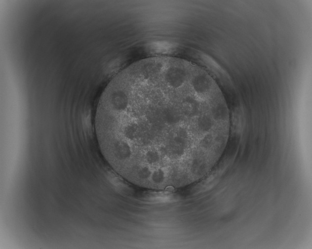 X0000110760377200906221127