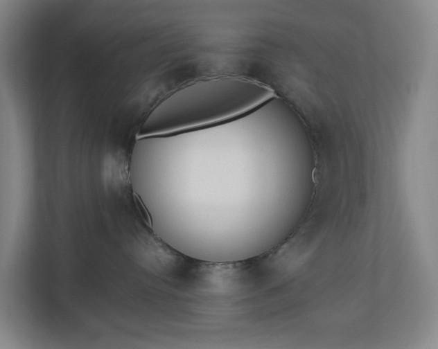 X0000110760384200906221127