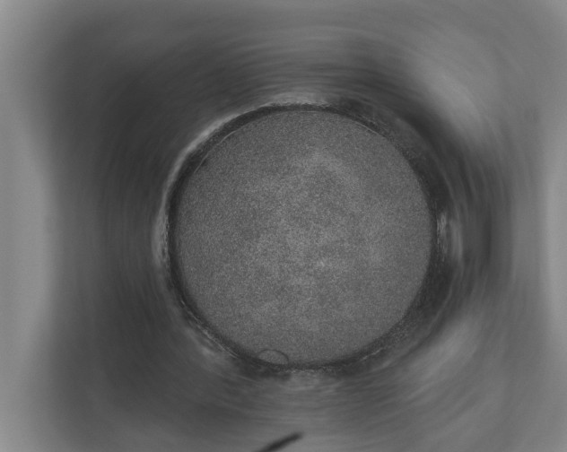 X0000110760388200906221126