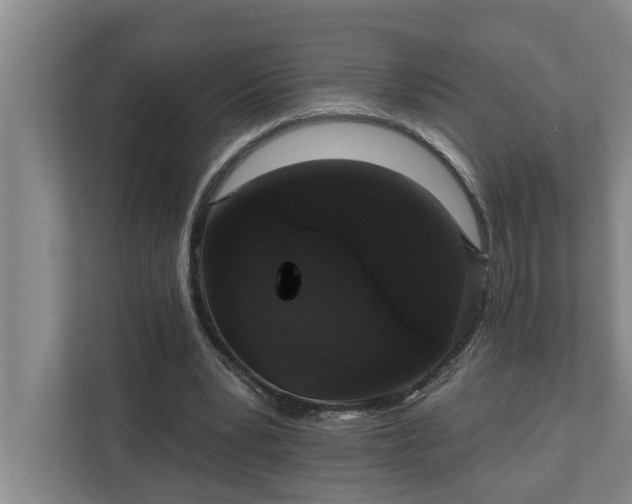 X0000110760391200906221126