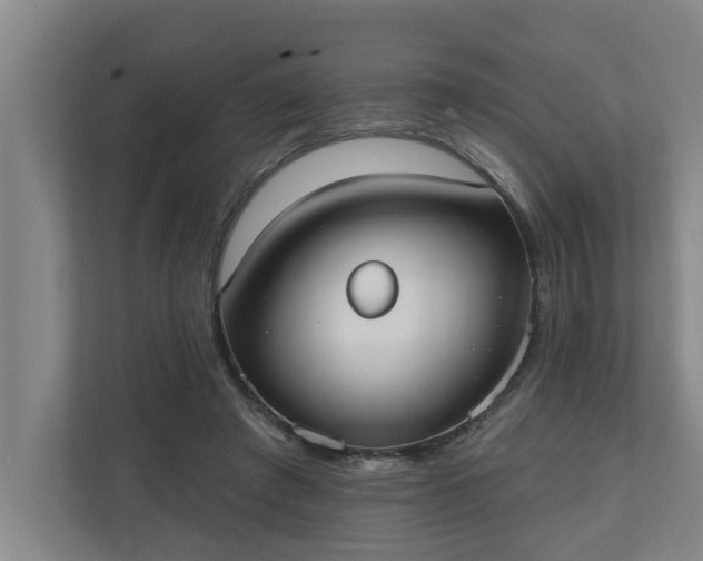 X0000110760401200906221126