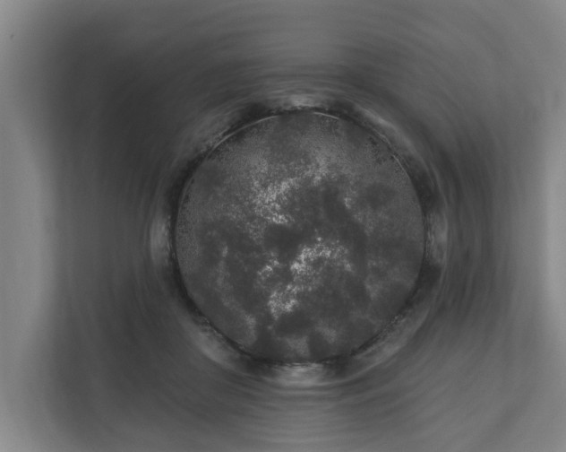 X0000110760410200906221126
