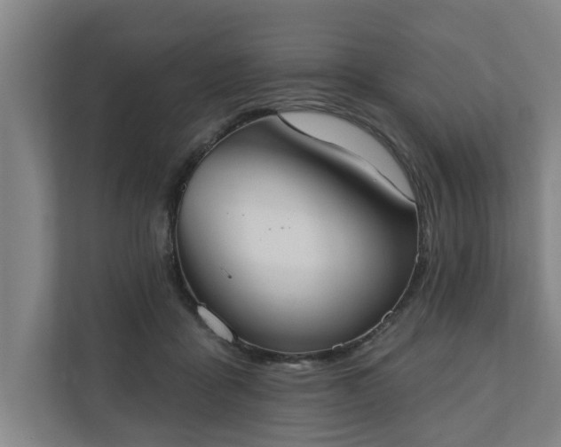 X0000110760411200906221126