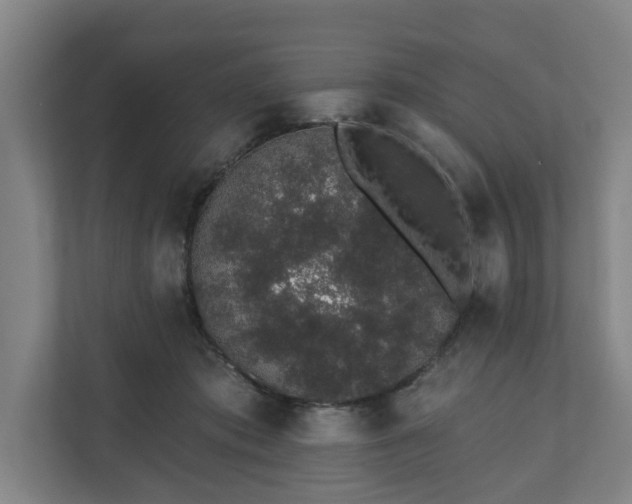 X0000110760413200906221126
