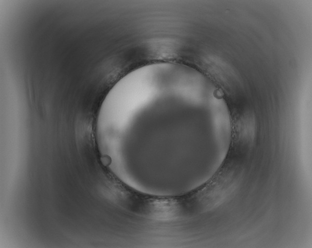 X0000110760415200906221126