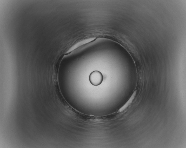 X0000110760419200906221126