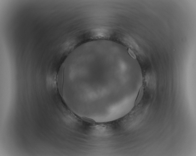 X0000110760423200906221126