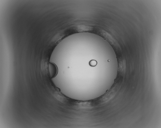 X0000110760426200906221126