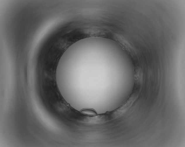 X0000110760430200906221126