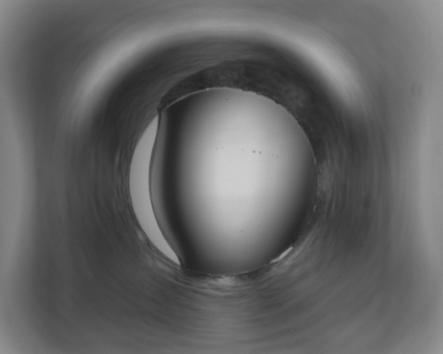 X0000110760431200906221126
