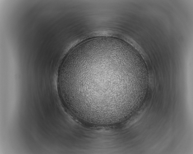 X0000110760434200906221125