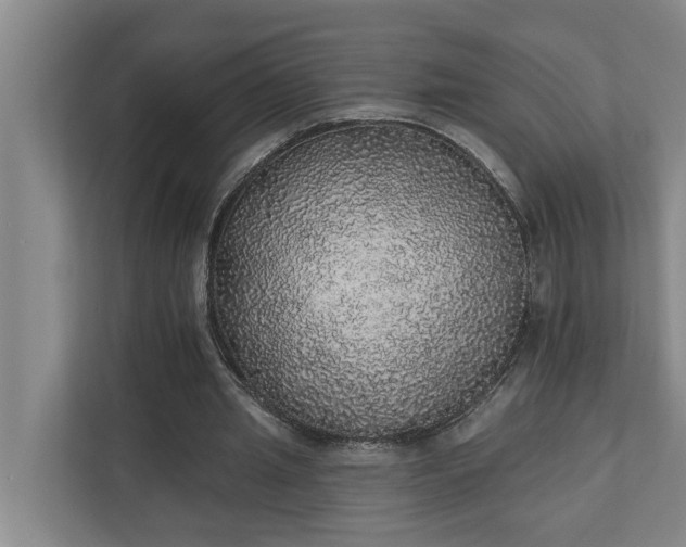 X0000110760437200906221125