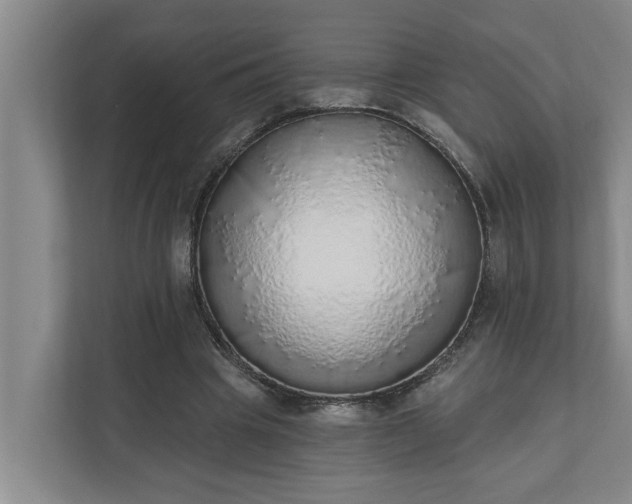 X0000110760441200906221125