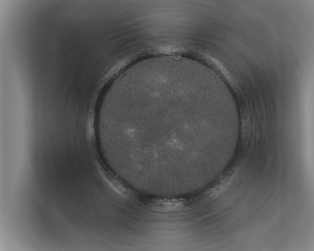 X0000110760443200906221125