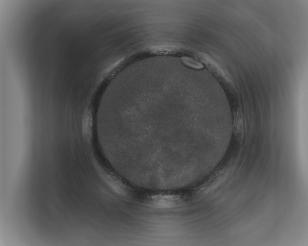 X0000110760448200906221125