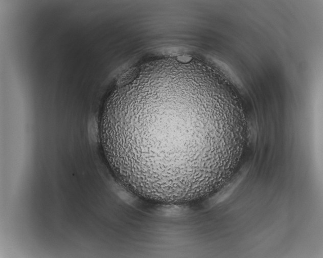 X0000110760453200906221125