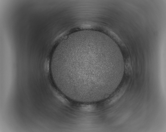 X0000110760454200906221125