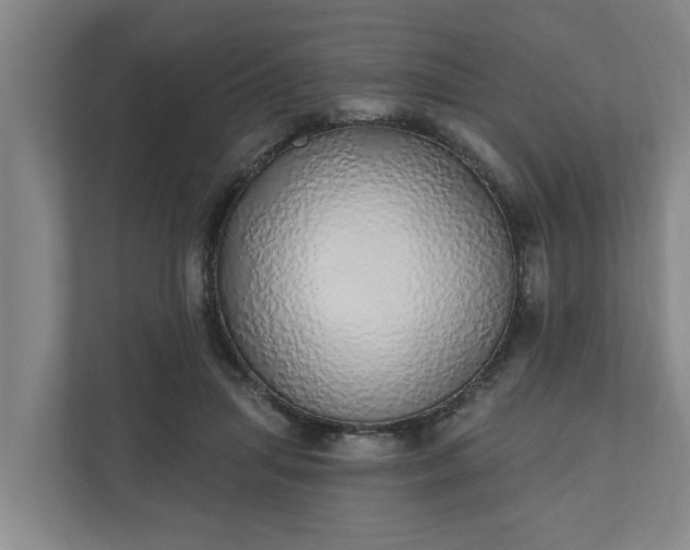 X0000110760455200906221125