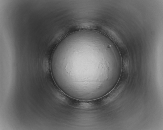 X0000110760457200906221125