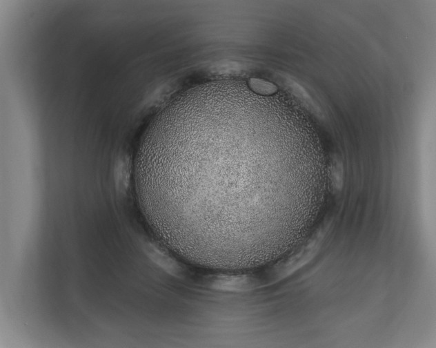 X0000110760458200906221125