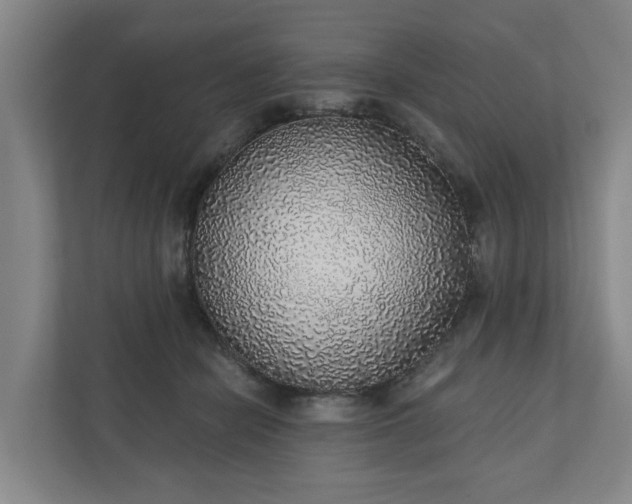 X0000110760462200906221125