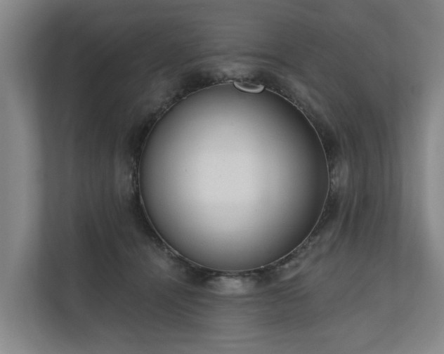 X0000110760464200906221125