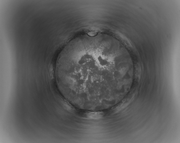 X0000110760465200906221125
