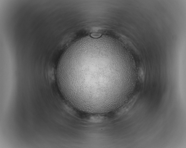 X0000110760470200906221126