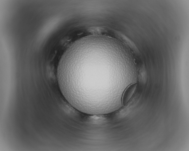X0000110760477200906221126