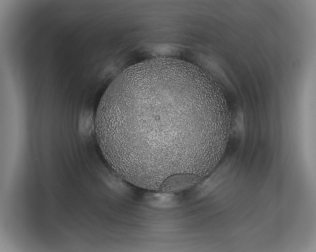 X0000110760478200906221126