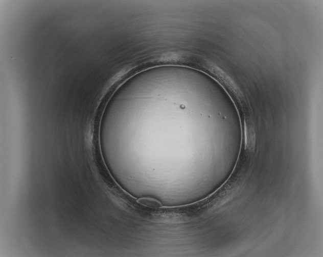X0000110760483200906221125