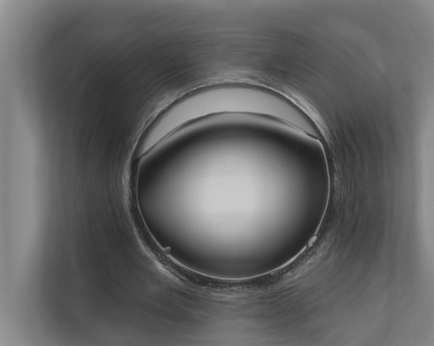 X0000110760485200906221125