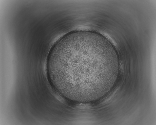 X0000110760487200906221125