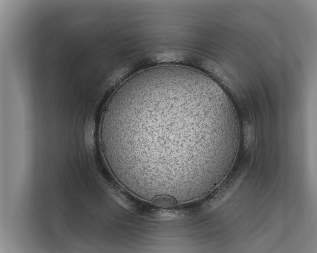 X0000110760490200906221125