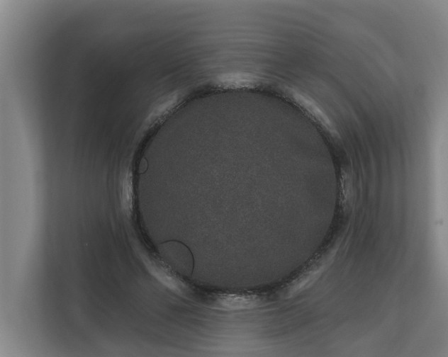 X0000110760494200906221125