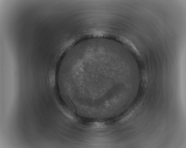 X0000110760496200906221125