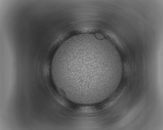 X0000110760499200906221125